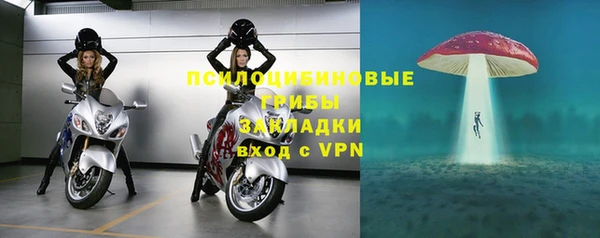 прущая мука Верея