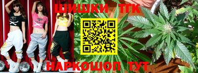 мдпв Жуковский