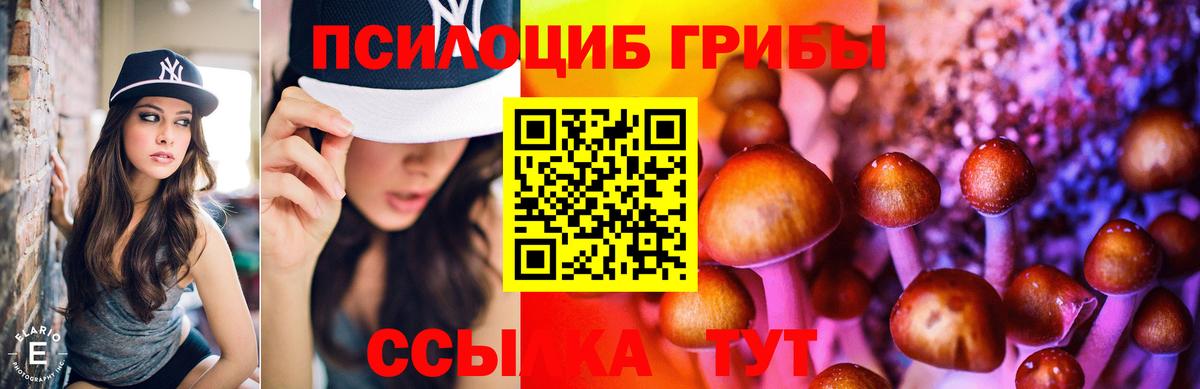 Медногорск  Галлюциногенные грибы Magic Shrooms  Вход с VPN  Псилоцибиновые грибы ЛСД 